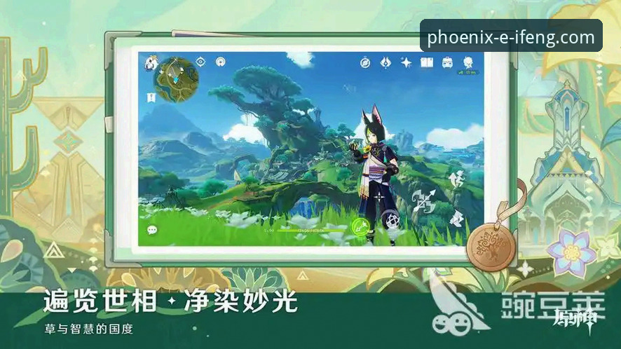 凤凰体育APP旧版本下载与使用详解